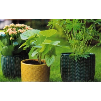 Osłonka Ceramiczna Retro Viola Żółta 11cm