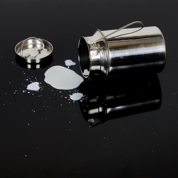 Metalowa Kanka na mleko Tadar srebrna 2,5 l